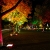 festivaloflights_17