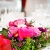 0999_Anne_Marcus