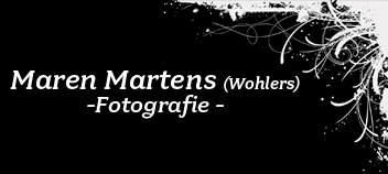 Maren Wohlers